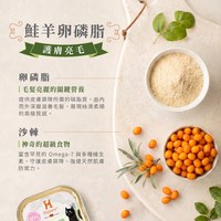 Hyperr超躍 全口味 貓咪德國主食罐 (貓罐|罐頭)