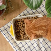 Hyperr超躍 低致敏無穀貓糧 (貓飼料|貓糧)