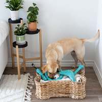 ZippyPaws 優游太空 輕巧迴力鏢 拋接玩具 寵物玩具