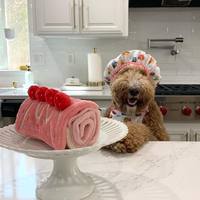 CHEWFFON 莓力蛋糕 藏食嗅聞玩具 啾啾聲 狗玩具 寵物玩具