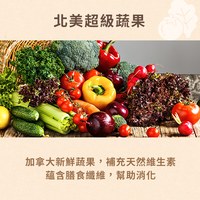 Hyperr超躍 貓咪無穀飼料+凍乾 (貓凍乾|主食)
