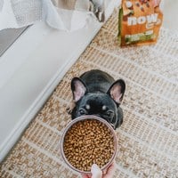 now 鮮肉小型老犬 無穀天然糧 (狗飼料|狗糧)