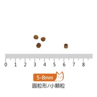 go! 海洋鮭鱈 全貓 高肉量無穀貓糧 (貓飼料|貓乾糧)