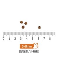 go! 能量放牧羊 全貓 高肉量無穀貓糧 (貓飼料|貓乾糧)