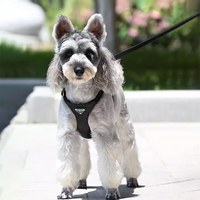 puppytie 胸背+牽繩組 三角標 黑色騎士 (防止暴衝|穿戴方便)