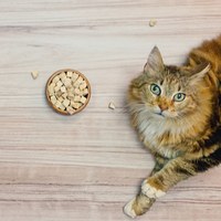 Hyperr超躍 牛肉立方 凍乾零食 (貓零食|原肉零食)