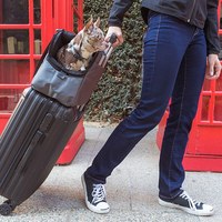 SleepyPod ATOM 寵物旅者輕旅專用旅包 ( 寵物包 | 旅行包 )