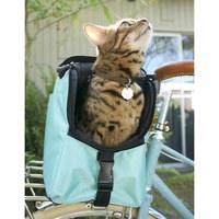 SleepyPod AIR 寵物旅者飛航專用旅包 藍綠色(寵物包|旅行包)