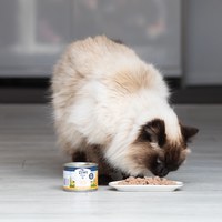 ZIWI巔峰 經典系列 鮮肉貓主食罐 (貓罐|罐頭)