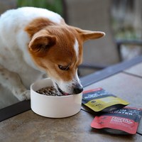 【狗狗組合包】now中型犬活力四射組 (紅肉)