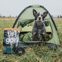 go! 加拿大無穀天然狗糧 22磅 / 25磅 (狗飼料|犬糧)