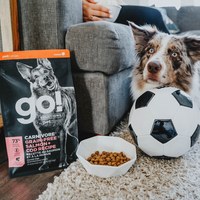 go! 全口味300克天然糧 無穀狗糧 (狗飼料|犬糧)