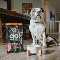 go! 海洋鮭鱈 全犬 高肉量無穀狗糧 (狗飼料|犬糧)