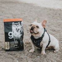 go! 加拿大無穀天然狗糧 3.5磅 (狗飼料|犬糧)