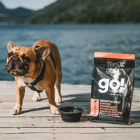 go! 低致敏系列 無穀狗糧 (狗飼料|犬糧)