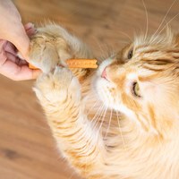 Hyperr超躍 起士雞肉條 手作零食 (寵物零食|天然零食)