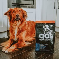 【微瑕疵】go! 全方位系列 狗糧 (狗飼料|犬糧)