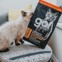 【即期】go! 鮭魚 全貓 腸胃保健貓糧 (貓飼料|貓糧)