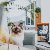 go! 鮭魚 全貓 腸胃保健貓糧 (貓飼料|貓糧)