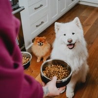 go! 加拿大無穀天然狗糧 3.5磅 (狗飼料|犬糧)