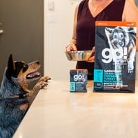 go! 無穀鮮雞 品燉系列 狗鮮食利樂餐包 (狗罐|主食罐)