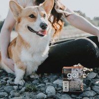 go! 能量放牧羊 嫩絲系列 狗鮮食利樂餐包 (狗罐|主食罐)