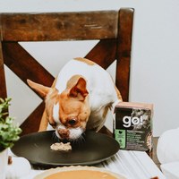 go! 無穀火雞 嫩絲系列 狗鮮食利樂餐包 (狗罐|主食罐)