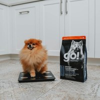 go! 全口味300克天然糧 無穀狗糧 (狗飼料|犬糧)