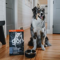 go! 全口味300克天然糧 無穀狗糧 (狗飼料|犬糧)