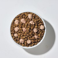 Hyperr超躍 單一雞肉 貓咪無穀飼料佐凍乾 (貓飼料|貓糧)