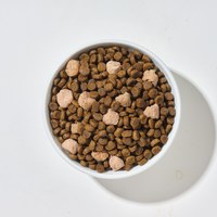 Hyperr超躍 雞肉牛肉 貓咪無穀飼料佐凍乾 (貓飼料|貓糧)