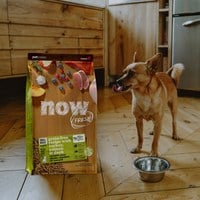 now 鮮肉小型幼犬 無穀天然糧 (狗飼料|狗糧)
