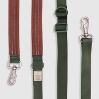 SPUTNIK 寵物多功能牽繩 綠色 (寵物牽繩|狗牽繩)