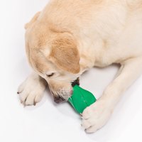 PetDreamHouse 百變趣彈 幾何藏食彈跳玩具 (狗玩具｜藏食玩具)