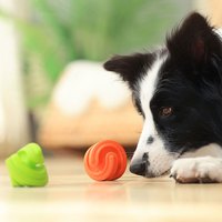 PetDreamHouse 百變趣彈 幾何藏食彈跳玩具 (狗玩具｜藏食玩具)