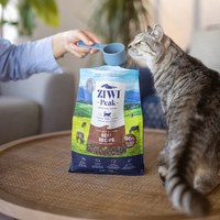 ZIWI巔峰 綜合口味 經典系列 貓糧 400克 五口味各一 (貓飼料|生食肉片)