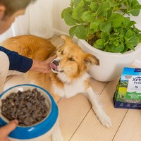 ZIWI巔峰 綜合口味 經典系列 狗糧 1公斤六口味各一 (狗飼料|生食肉片)