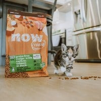 【定期購】now 全口味 貓咪無穀天然糧(貓飼料|貓糧)