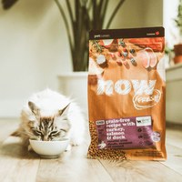 【定期購】now 全口味 貓咪無穀天然糧(貓飼料|貓糧)