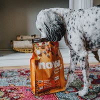 now 中型犬鮮肉無穀天然糧 (狗飼料|狗糧)