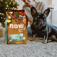 【定期購】now 全口味 狗狗無穀天然糧 (狗飼料|狗糧)