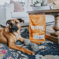 now 全口味狗糧 300克 無穀天然糧 (狗飼料|犬糧)