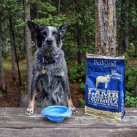 PetKind野胃 低敏系列 天然鮮草肚狗糧 (狗飼料|無榖)