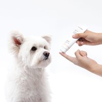 Breezytail 犬貓保濕護膚乳液(犬貓專用｜肌膚保濕)