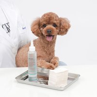 Breezytail 寵物潔耳液 (犬貓適用｜耳朵清潔)