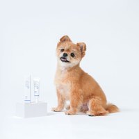 Breezytail 敏感護膚乳液(犬貓適用｜低敏護膚)