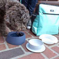 SLEEPYPOD YUMMY 寵物旅者三合一旅行餐碗 橘色(收納碗|防蟻碗)