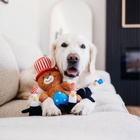 ZippyPaws 就愛在一起 美國小熊 啾啾聲 狗玩具 寵物玩具