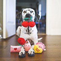 ZippyPaws 一定要儀式感吧 情人節套餐 啾啾聲 狗玩具 寵物玩具