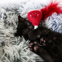 ZippyPaws 一定要儀式感吧 浪漫燭光晚餐 附貓草 貓玩具 寵物玩具